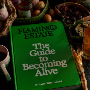 Book of 'Flaming Estate: The Guide to Becoming Alive'