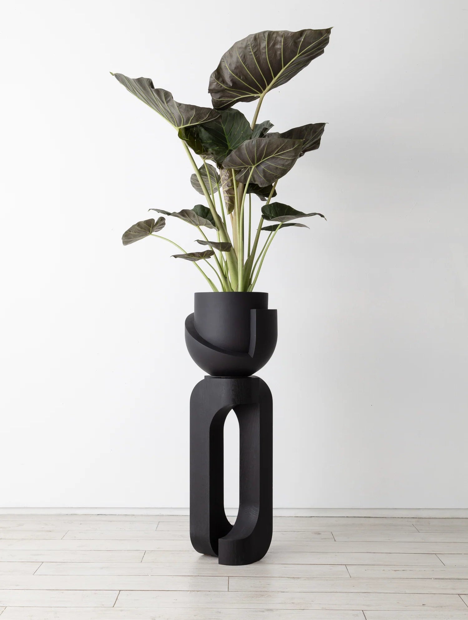 VAYU Ceramic Planter by Light + Ladder – Elysian Collective VAYU Ceramic Planter by Light + Ladder – Elysian Collective
